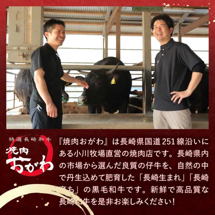 【全3回定期便】 長崎和牛 A5ランク サーロインステーキ 2枚 計400g / ステーキ すてーき 和牛 牛肉 ぎゅうにく 国産牛 牛 肉 サーロイン A5 焼肉 / 諫早市 / 焼肉おがわ [AHCD007]