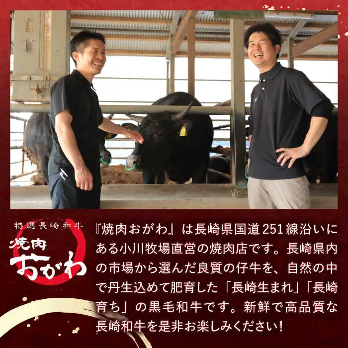 【全6回定期便】 長崎和牛 A5ランク 特選サーロインステーキ 250g×4枚 計1kg / ステーキ すてーき 和牛 牛肉 ぎゅうにく 国産牛 牛 サーロイン A5 / 諫早市 / 焼き肉おがわ [AHCD032]