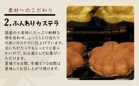 もみじ饅頭詰め合わせ30個入