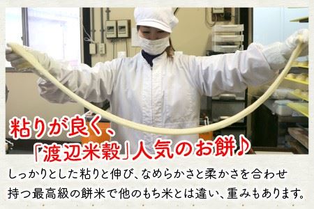 たんちょう杵つき 小米とぼ餅 計40枚 2026年11月下旬以降順次発送 お餅 もち [A-2996]