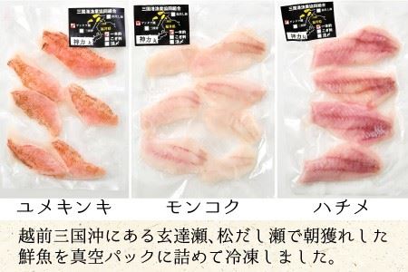 とれピチ鮮魚のおまかせ刺身用 200g×2種 ～越前三国港 漁船「神力丸」 船長がお届け！～ [A-5824]