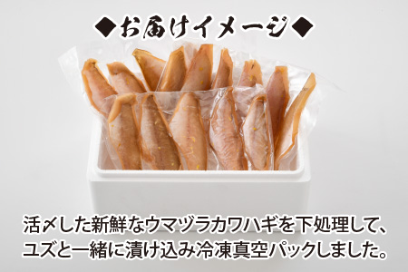 極旨珍味！ユズ漬けウマヅラハギの切り身 200g × 2パック (加熱用)【A-5828】