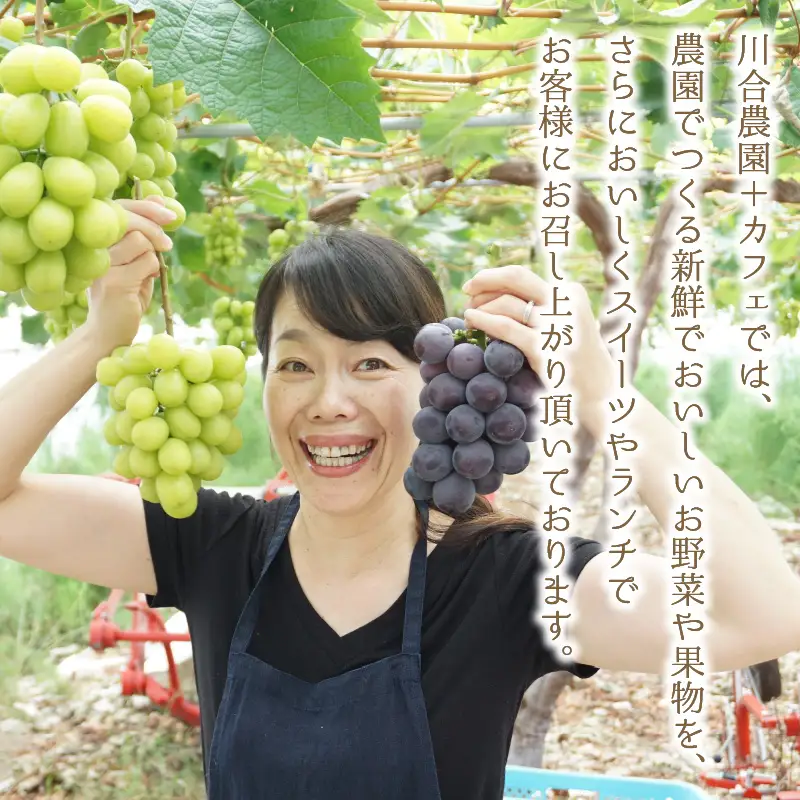 自家製ハーブティーにぴったりの川合農園アフタヌーンセット ～季節を味わうお野菜とシフォンケーキ付き～【A-7501】