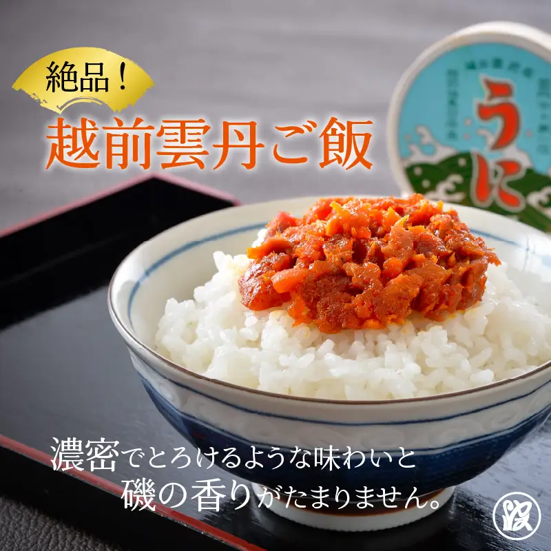 日本三大珍味 越前雲丹 30g 塩うに うに おつまみ  [F-1701]