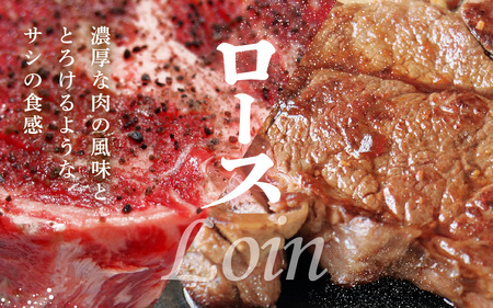 牧場直営「牛若丸」厳選 若狭牛塊肉セット 計450g [B-1852]