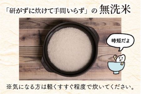 【令和8年産】定期便 ≪12ヶ月連続お届け≫ 福井県のブランド米 いちほまれ 無洗米 2kg × 12回 計24kg 【 無洗米 人気 品種 ブランド米 特A 】 [I-6106]