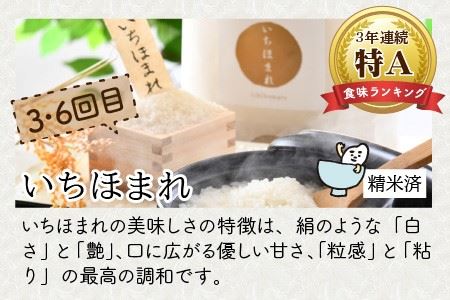【令和8年産】 定期便 ≪6ヶ月連続お届け≫ 福井県発祥のお米 3種食べ比べ 5kg × 6回 計30kg (こしひかり・あきさかり・いちほまれ) 【 人気 品種 ブランド米 特A 】[I-6105]