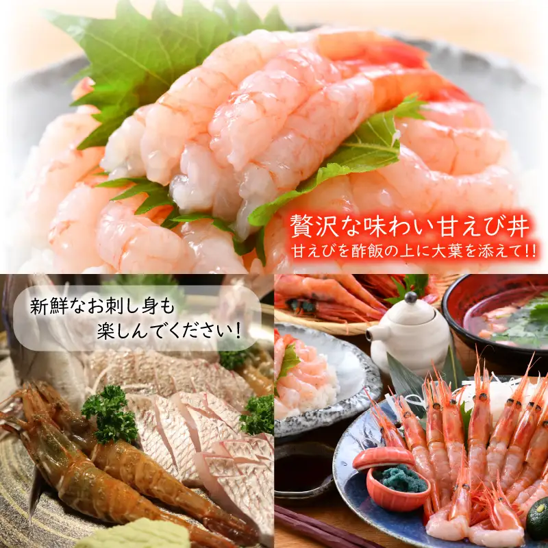 【先行予約】【6ヶ月連続お届け】エビ三昧＆旬の鮮魚 定期便 ～日本海の海の幸コラボ～【2027年3月より発送開始予定】 [F-8504]