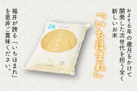 【令和8年産】定期便 ≪12ヶ月連続お届け≫ 福井県のブランド米 いちほまれ 無洗米 5kg × 12回 計60kg 【 無洗米 人気 品種 ブランド米 特A 】 [N-6105]