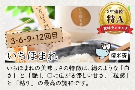 【令和8年産】 定期便 ≪12ヶ月連続お届け≫ 福井県発祥のお米 3種食べ比べ 5kg × 12回 計60kg 【 人気 品種 ブランド米 特A 】 [N-6104]