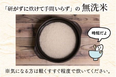 【令和8年産】 定期便 ≪6ヶ月連続お届け≫ 福井県のブランド米 いちほまれ 無洗米 10kg × 6回 計60kg 【 無洗米 人気 品種 ブランド米 特A 】 [N-6106] 