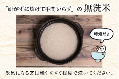 【令和8年産】 定期便 ≪12ヶ月連続お届け≫ 福井県のブランド米 いちほまれ 無洗米 10kg × 12回 計120kg 【 無洗米 人気 品種 ブランド米 特A 】 [P-6101]