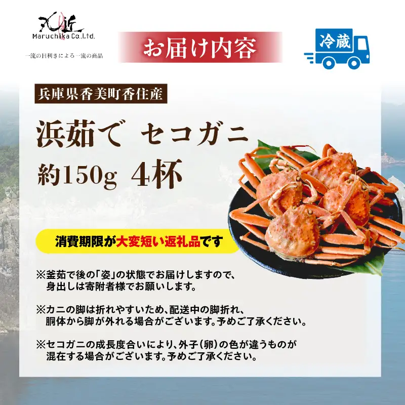 《先行予約》【訳あり】 浜茹で セコガニ 香住産 大サイズ 4匹入り 【令和8年11月中旬以降発送予定】 かに カニ 19-10