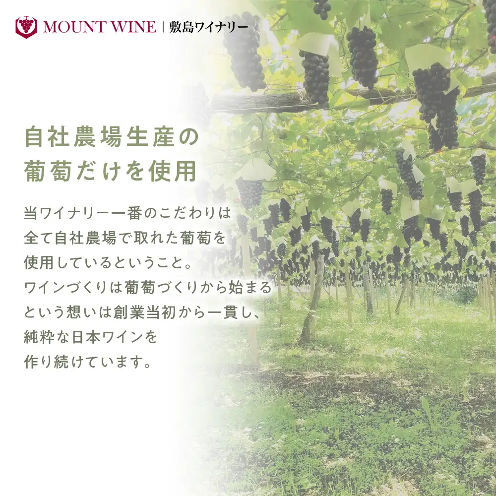 ピノ・ノワール 720ml×1本 ワイン お酒 酒 アルコール 葡萄 ブドウ ギフト プレゼント 贅沢 山梨 甲斐市 F-32