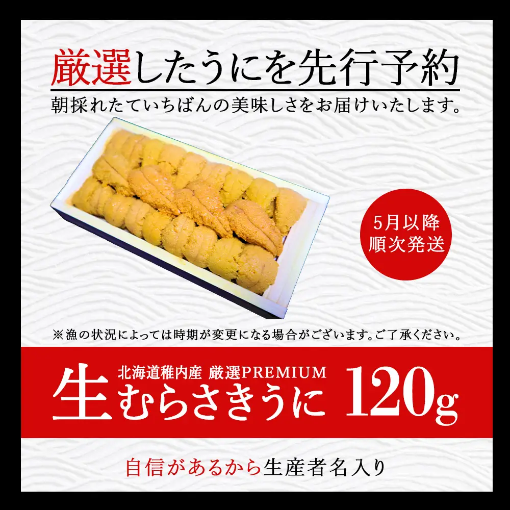 【先行予約】【厳選PREMIUM】美味しいウニは昆布の名産地にあり!生むらさきうに120g