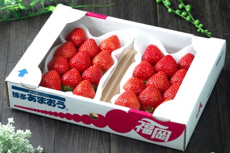 【期間限定発送】甘酸っぱい！酸味と甘味を楽しむ苺 福岡限定生産【冬】あまおう 2パック