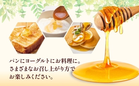 国産はちみつ120g 3本入り 2セット 山の郷 アカシア 菩提樹 国産 純粋はちみつ ギフト ハニー honey ハチミツ パン 菓子 トースト ホットケーキ ヨーグルト 調味料 隠し味 常温 常備 お取り寄せ 日新蜂蜜 送料無料 岐阜県 安八町 
