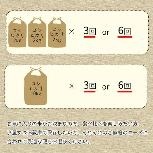 【3回定期便】コシヒカリ 10kg 定期便 精米 白米