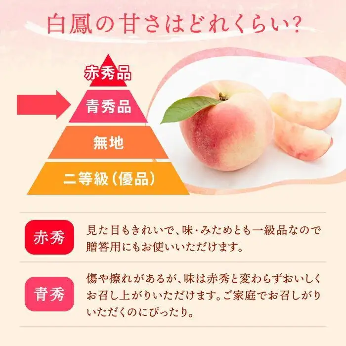 和歌山県産 白鳳 桃 11～16玉入り 訳あり ご家庭用 数量限定［2027年6月下旬以降発送］［MG91］