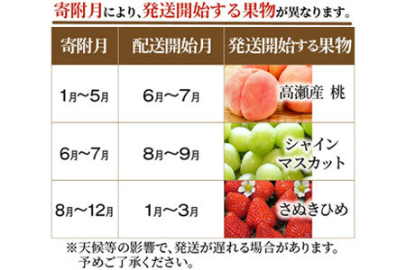 産地厳選三豊のフルーツ3回定期便D