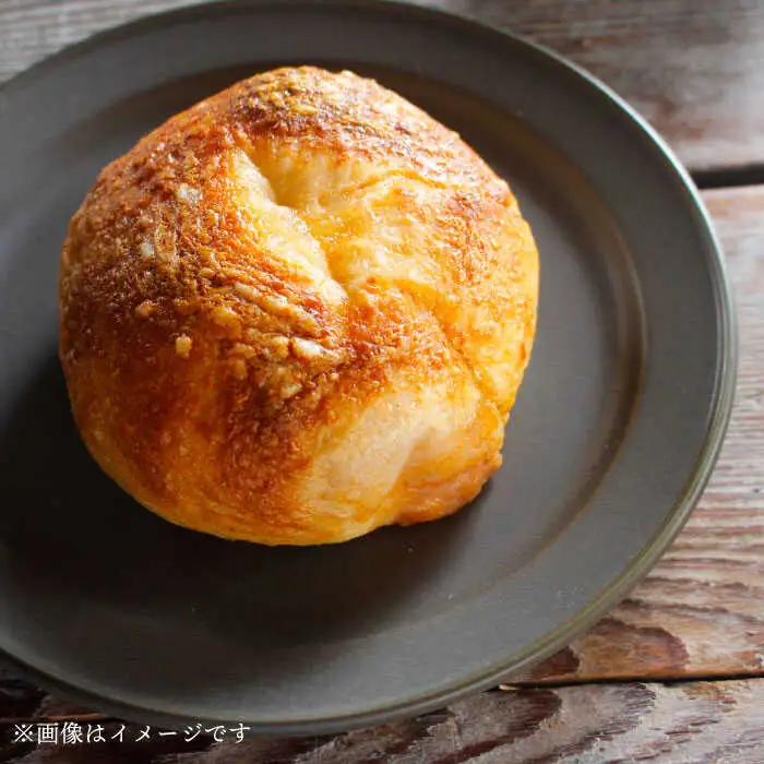 【美濃焼】プレートM ブロンズ miranda 【KANEAKI SAKAI POTTERY】美濃焼食器 食器 皿[MBC001]