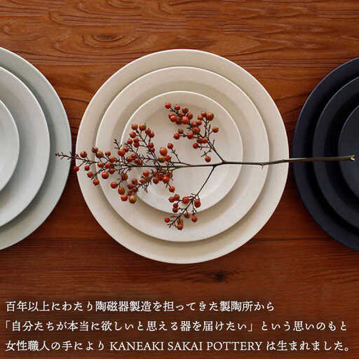 Haviland Nankin 陶磁器皿 5枚セット Haviland Nankin 陶磁器皿 5枚セット アビランド 皿 プレート22cm 2枚