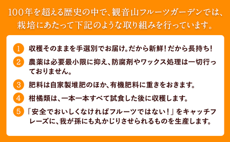 フルーツ頒布会「旬宴」-竹 全10回お届け 4人～5人用 有限会社柑香園 定期便