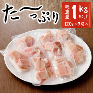 【2026年9月お届け】天然 びんちょう まぐろ お刺身 パック 合計1kg以上 (a10-649202609)