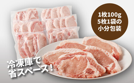 贅沢 宮崎県産豚肉ロース100gカット30枚_K16_0018_4