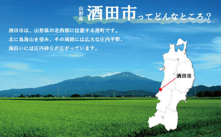 SD0195　「松嶺富士 純米大吟醸 雪女神 40％精米」「初孫 生酛純米 出羽の里」　計2本(各1800ml×1本) 【おぼげだセット】