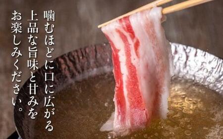 飛騨牛A5ランク・飛騨豚ロースしゃぶしゃぶ用食べ比べ400g しゃぶしゃぶ HF036