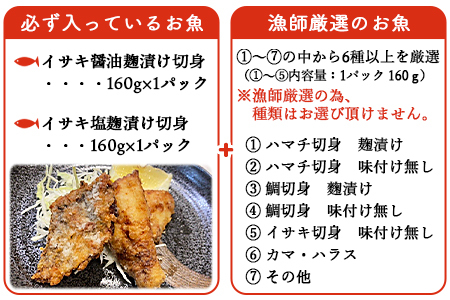 ＜漁師直送 夏の新鮮お魚詰め合わせ 8種以上＞ 魚 詰め合わせ 海鮮 海産物 海鮮セット イサキ 処理済み 麹漬け 明浜産 二ノ宮商事株式会社 愛媛県 西予市【冷凍】『2026年4月～9月末迄に順次出荷予定』ANS0012