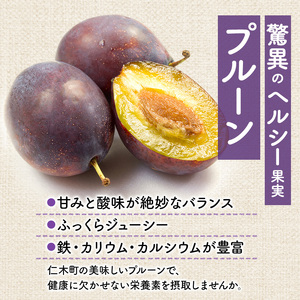 [2026年発送] 9月末～10月お届け 北海道 仁木産 フレッシュ プルーン 約2kg（サイズ混合）品種 おまかせ 果物 くだもの フルーツ [峠のふもと　紅果園]