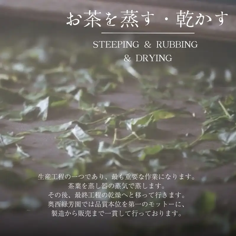 抹茶 菊寿 40g 大徳寺 高級 抹茶