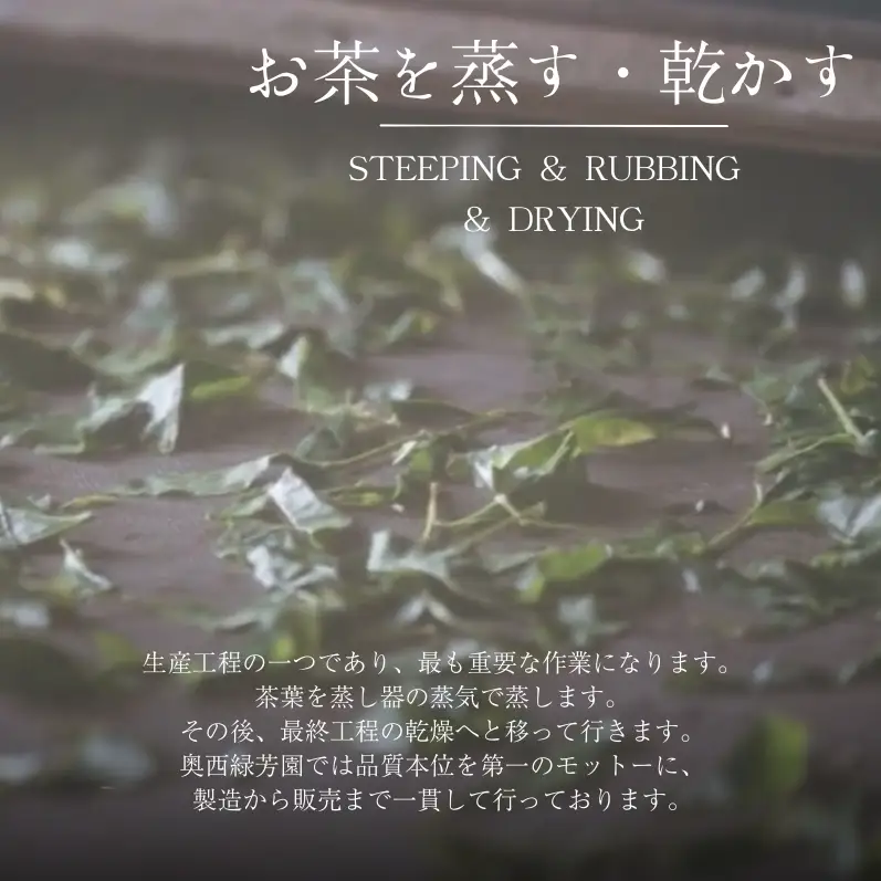 抹茶 酬恩 芳草の白 2缶 高級 抹茶