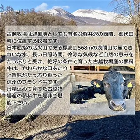 【牛肉カレー用】信州蓼科牛の厳選部位をおまかせ600g(300g×2パック)御代田町古越牧場産_肉  牛肉 _【配送不可地域：離島】【1297005】