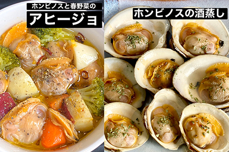 漁師直送！活ホンビノス貝3.5kg（Sサイズ）