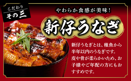 一色産うなぎ　炭焼き蒲焼2尾　職人手焼き・I034-18