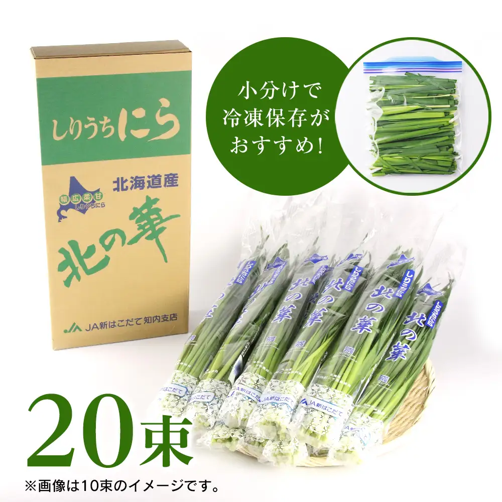 【2027年発送予約】 しりうちにら北の華 20束【JA新はこだて】