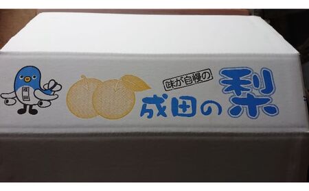 梨 5kg 幸水または豊水【日時指定不可】フルーツ 果物 ナシ なし 和梨 季節のフルーツ 季節の果物 旬のフルーツ 旬の果物 千葉 千葉県 成田市
