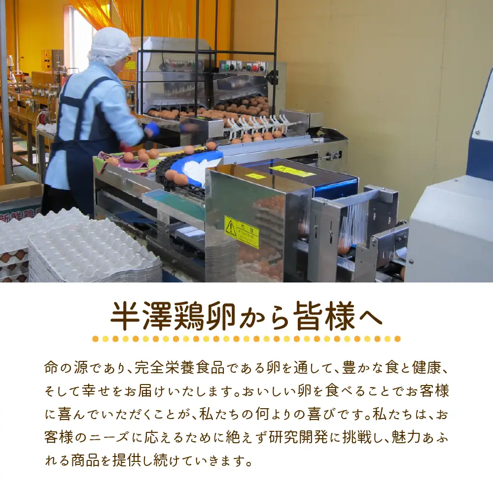 いではのもみじ紅50個入り（破損補償5個を含む）