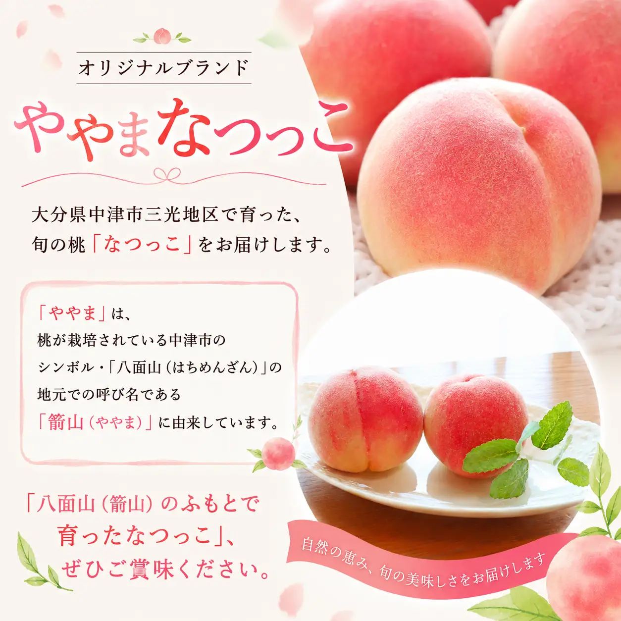【数量限定】三光産の桃 ややまなつっこ 6～8玉入り ( 約2.5kg ) 光センサー使用 糖度13度以上 | 果物 くだもの フルーツ ふるーつ 桃 もも モモ ピーチ ぴーち 国産 産地直送 大分県 中津市