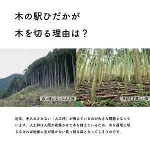 薪 乾燥薪 針葉樹ミックス 約8kg｜高知県産 キャンプ 焚き付け 焚き火 BBQ 着火用