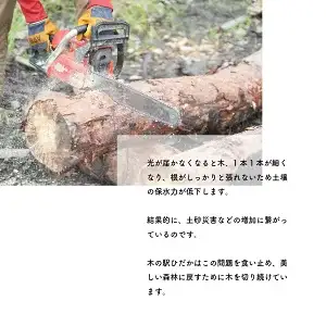 薪 マツ 約10kg｜高知県産 乾燥薪 キャンプ用 焚き付け 焚き火 着火用 国産