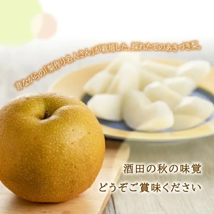 SA3036　酒田産【特選】あきづき梨　約3kg(6～9玉入)