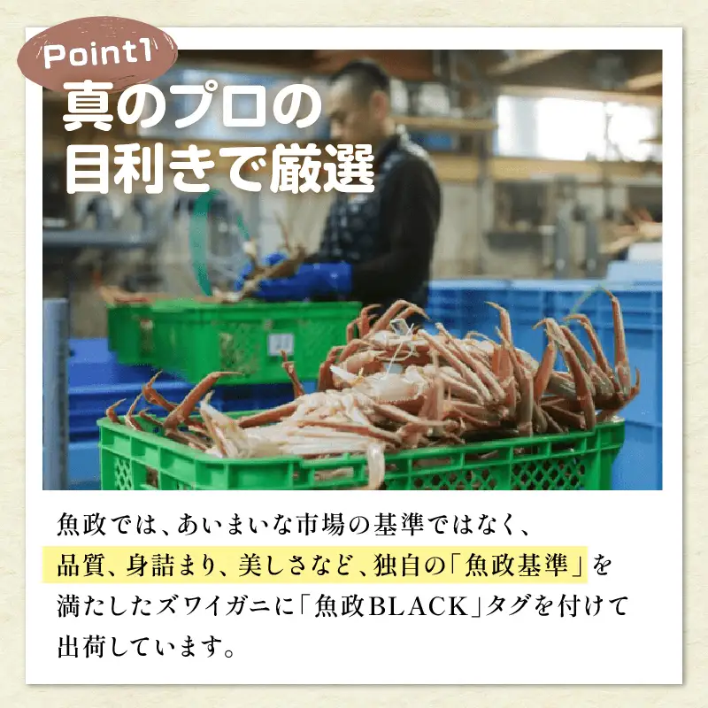 【蟹の匠 魚政】茹で　プレミアムズワイガニ 魚政BLACK（松葉ガニ・越前ガニ）特撰 小サイズ（600～700g） 2匹セット(11月～12月発送)