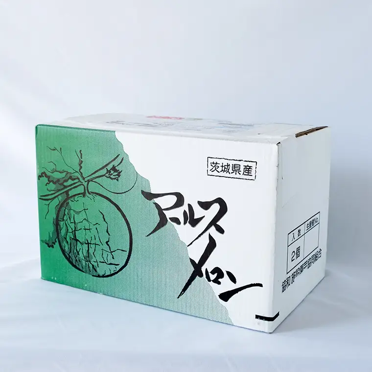【2026年8月下旬発送開始】 季節 限定 ！甘さ満点 アールスメロン 2玉 入箱 果物 フルーツ 農家直送 産直 青肉メロン 特産品 マスクメロン メロン くだもの 茨城 [BC045sa]