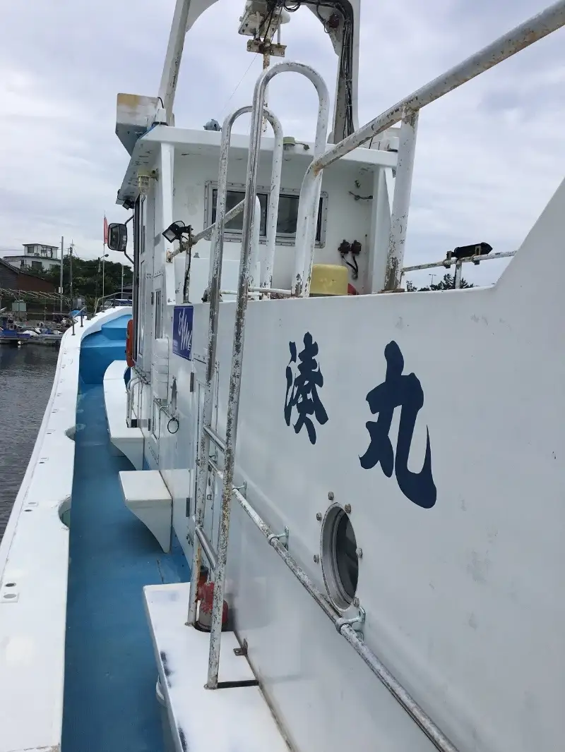 【泉南・岡田浦漁港】釣り船 湊丸 昼便 アジ・メバル便 1名様【049D-001】