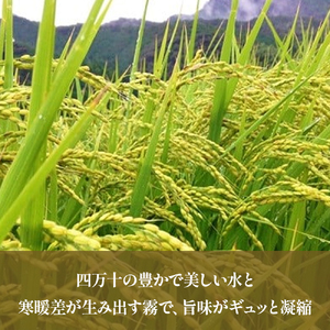 【3ヵ月便】罪悪感は必要ナシ！賢い選択「四万十町産 無洗米」5㎏ 仁井田米 にこまる／Sbos-Z01