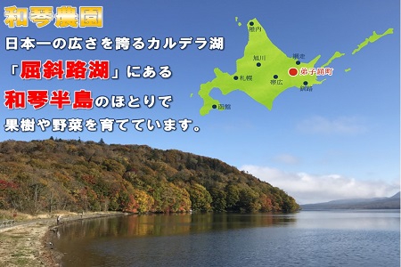 北海道特産の果実ハスカップ、業務用(訳あり)１ｋｇ 1354